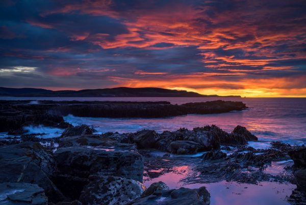 Curio Bay sunrise