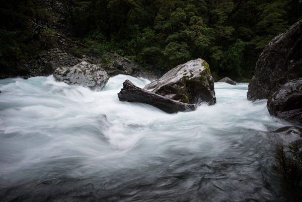 Upper Hollyford River near Milford Road