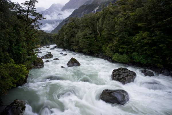 Mountain stream crossing the Milford Road