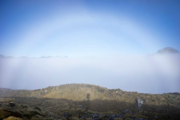 Fogbow with my shadow