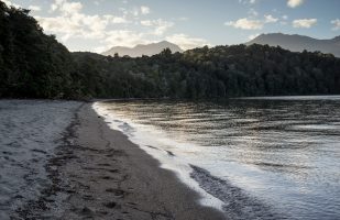 Beach at Brood Bay