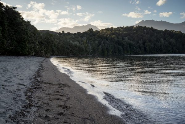 Beach at Brood Bay