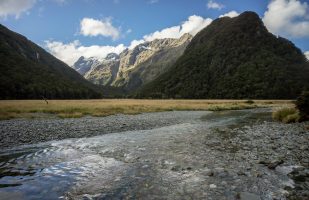 Routeburn Flats