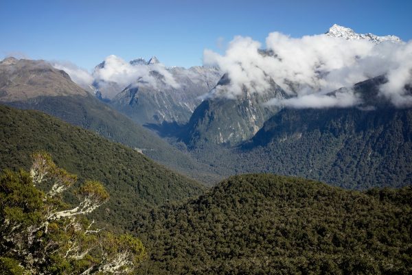 View into Hollyford Valley