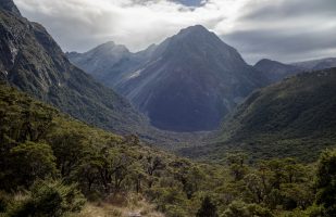 View into the lower Caples Valley