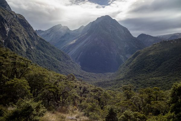 View into the lower Caples Valley