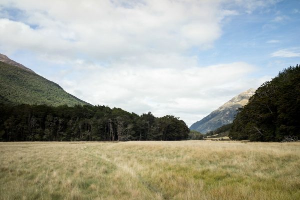 Grasslands in Caples Valley