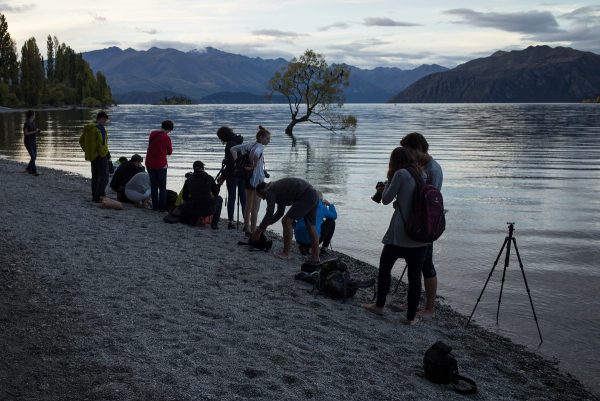 Photographers gathered at the Wanaka tree