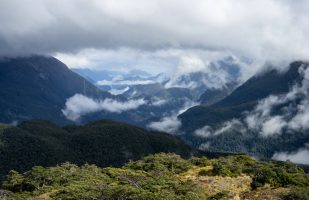 View towards Dusky Sound