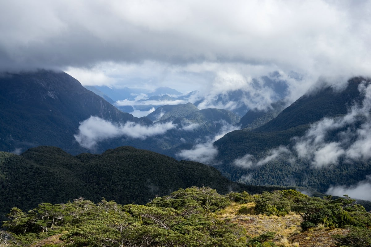 View towards Dusky Sound