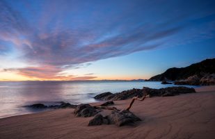 Abel Tasman - Mutton Cove