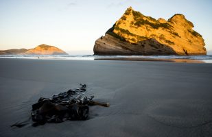 Wharariki Beach (West Coast) II