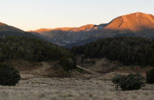 In Kahurangi National Park