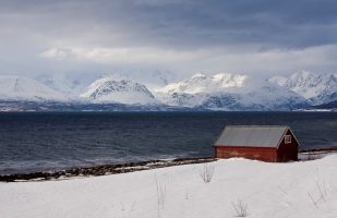 Lyngen View