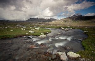 Sinuous Stream