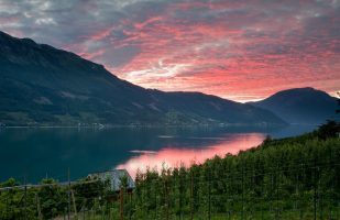 Sørfjord